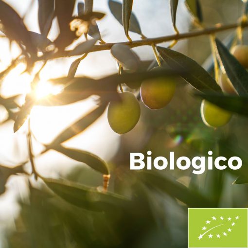 Olio biologico