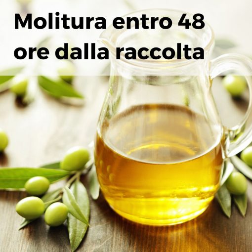 Molitura entro 48 ore dalla raccolta